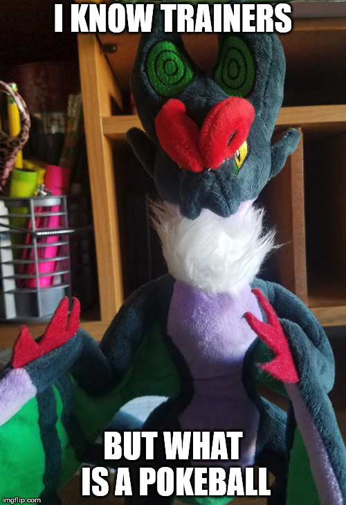 Noivern meme | I KNOW TRAINERS; BUT WHAT IS A POKEBALL | image tagged in toy,pokemon,noivern,memes | made w/ Imgflip meme maker