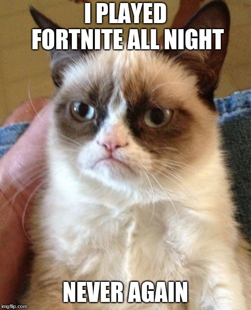Grumpy Cat | I PLAYED FORTNITE ALL NIGHT; NEVER AGAIN | image tagged in memes,grumpy cat | made w/ Imgflip meme maker