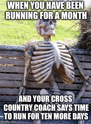 Waiting Skeleton Meme | WHEN YOU HAVE BEEN RUNNING FOR A MONTH; AND YOUR CROSS COUNTRY COACH SAYS TIME TO RUN FOR TEN MORE DAYS | image tagged in memes,waiting skeleton | made w/ Imgflip meme maker