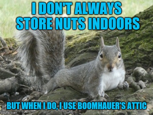 I DON'T ALWAYS STORE NUTS INDOORS BUT WHEN I DO, I USE BOOMHAUER'S ATTIC | made w/ Imgflip meme maker