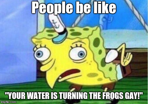 Mocking Spongebob | People be like; "YOUR WATER IS TURNING THE FROGS GAY!" | image tagged in memes,mocking spongebob | made w/ Imgflip meme maker