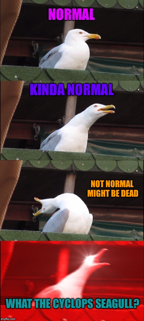 Inhaling Seagull | NORMAL; KINDA NORMAL; NOT NORMAL MIGHT BE DEAD; WHAT THE CYCLOPS SEAGULL? | image tagged in memes,inhaling seagull | made w/ Imgflip meme maker