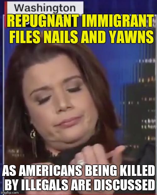 This pig is emblematic of the left/RINOS/ungrateful immigrants | REPUGNANT IMMIGRANT FILES NAILS AND YAWNS; AS AMERICANS BEING KILLED BY ILLEGALS ARE DISCUSSED | image tagged in scumbag republicans,rino,cnn,biased media,deportation | made w/ Imgflip meme maker