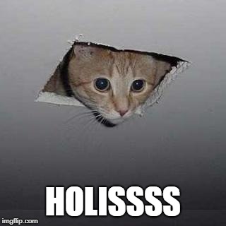 Ceiling Cat Meme | HOLISSSS | image tagged in memes,ceiling cat | made w/ Imgflip meme maker