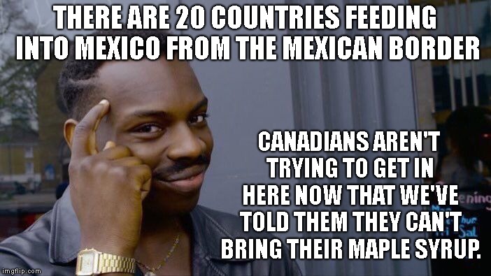 Roll Safe Think About It Meme | THERE ARE 20 COUNTRIES FEEDING INTO MEXICO FROM THE MEXICAN BORDER CANADIANS AREN'T TRYING TO GET IN HERE NOW THAT WE'VE TOLD THEM THEY CAN' | image tagged in memes,roll safe think about it | made w/ Imgflip meme maker