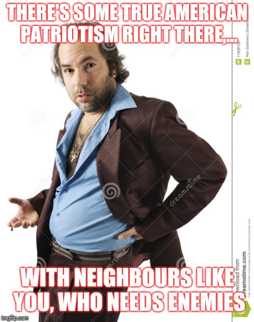 THERE'S SOME TRUE AMERICAN PATRIOTISM RIGHT THERE,... WITH NEIGHBOURS LIKE YOU, WHO NEEDS ENEMIES | made w/ Imgflip meme maker