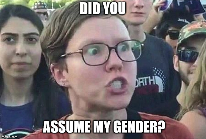 Triggered Liberal | DID YOU ASSUME MY GENDER? | image tagged in triggered liberal | made w/ Imgflip meme maker