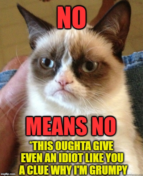 What part of "No" sounds like "yes" ? | NO; MEANS NO; *THIS OUGHTA GIVE EVEN AN IDIOT LIKE YOU   A CLUE WHY I'M GRUMPY | image tagged in vince vance,grumpy cat,cats,no means no,why i'm grumpy,idiots | made w/ Imgflip meme maker