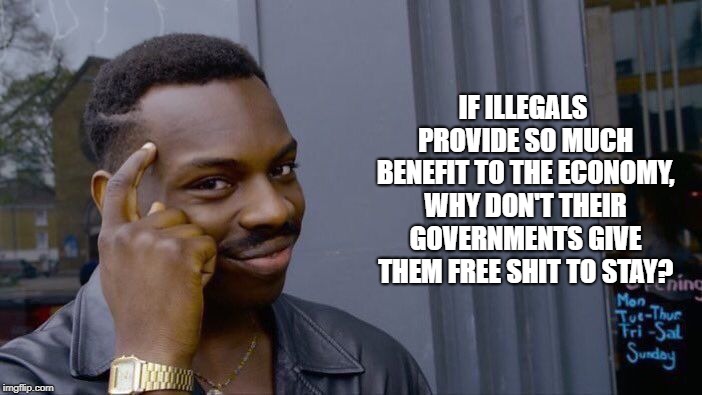 Roll Safe Think About It | IF ILLEGALS PROVIDE SO MUCH BENEFIT TO THE ECONOMY, WHY DON'T THEIR GOVERNMENTS GIVE THEM FREE SHIT TO STAY? | image tagged in memes,roll safe think about it | made w/ Imgflip meme maker