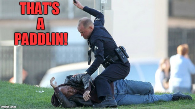Cop Beating | THAT'S A PADDLIN! | image tagged in cop beating | made w/ Imgflip meme maker