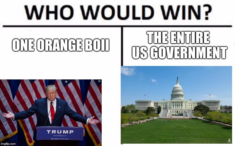 Who Would Win? Meme | ONE ORANGE BOII; THE ENTIRE US GOVERNMENT | image tagged in memes,who would win | made w/ Imgflip meme maker