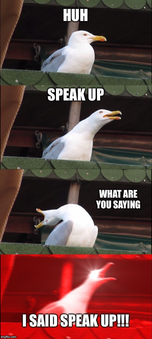 Deaf seagull  | HUH; SPEAK UP; WHAT ARE YOU SAYING; I SAID SPEAK UP!!! | image tagged in memes,inhaling seagull | made w/ Imgflip meme maker