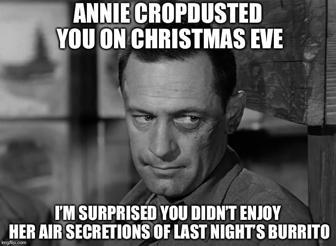ANNIE CROPDUSTED YOU ON CHRISTMAS EVE I’M SURPRISED YOU DIDN’T ENJOY HER AIR SECRETIONS OF LAST NIGHT’S BURRITO | made w/ Imgflip meme maker