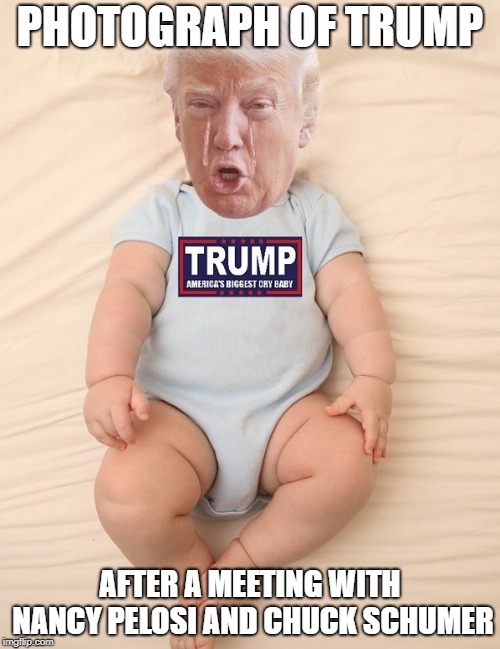 Baby Trump | PHOTOGRAPH OF TRUMP; AFTER A MEETING WITH NANCY PELOSI AND CHUCK SCHUMER | image tagged in crying trump baby,art of the deal | made w/ Imgflip meme maker