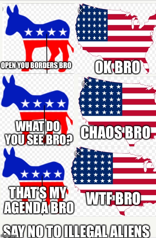 Say no to open borders vote republican  | OK BRO; OPEN YOU BORDERS BRO; CHAOS BRO; WHAT DO YOU SEE BRO? WTF BRO; THAT’S MY AGENDA BRO; SAY NO TO ILLEGAL ALIENS | image tagged in america | made w/ Imgflip meme maker