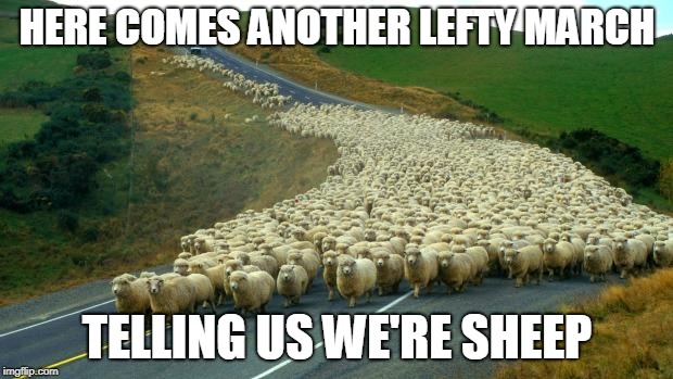 sheep | HERE COMES ANOTHER LEFTY MARCH TELLING US WE'RE SHEEP | image tagged in sheep | made w/ Imgflip meme maker