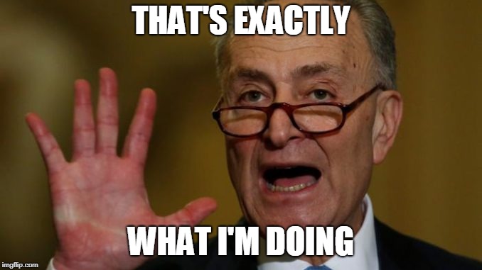 Chuck Schumer | THAT'S EXACTLY WHAT I'M DOING | image tagged in chuck schumer | made w/ Imgflip meme maker