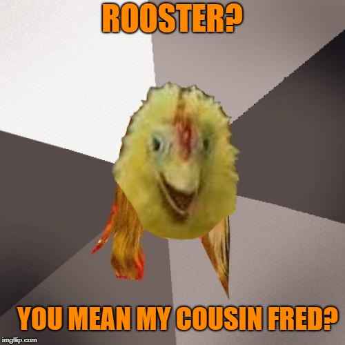 ROOSTER? YOU MEAN MY COUSIN FRED? | made w/ Imgflip meme maker