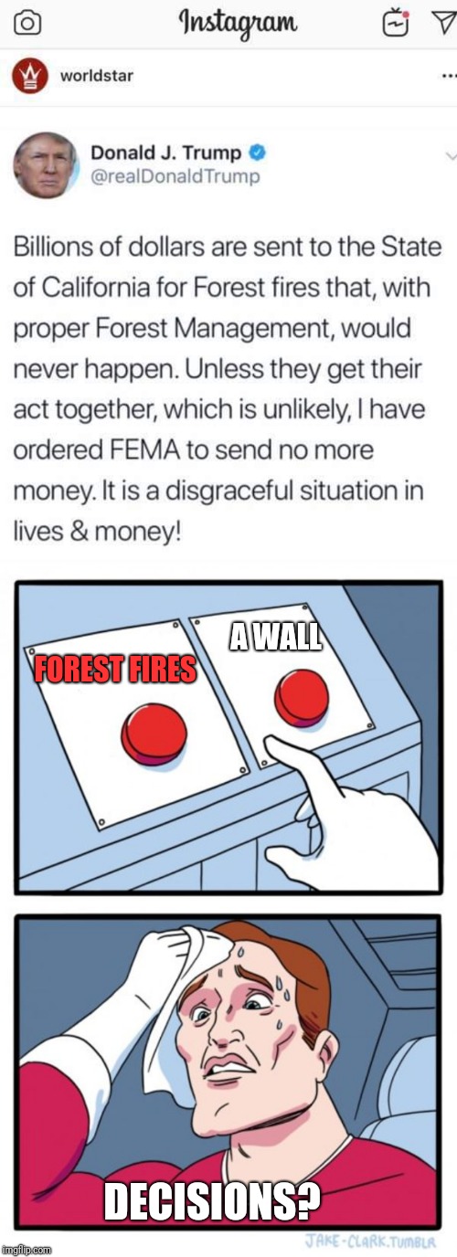 A WALL; FOREST FIRES; DECISIONS? | image tagged in memes,two buttons | made w/ Imgflip meme maker