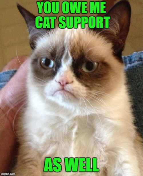 Grumpy Cat Meme | YOU OWE ME CAT SUPPORT AS WELL | image tagged in memes,grumpy cat | made w/ Imgflip meme maker