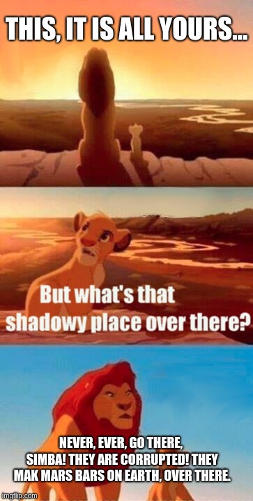 Simba Shadowy Place Meme | THIS, IT IS ALL YOURS... NEVER, EVER, GO THERE, SIMBA! THEY ARE CORRUPTED! THEY MAK MARS BARS ON EARTH, OVER THERE. | image tagged in memes,simba shadowy place | made w/ Imgflip meme maker