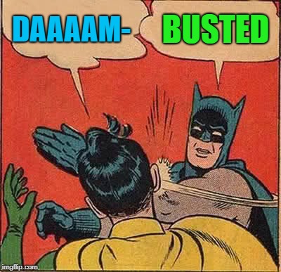 Batman Slapping Robin Meme | DAAAAM- BUSTED | image tagged in memes,batman slapping robin | made w/ Imgflip meme maker