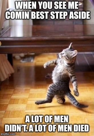 Cool Cat Stroll Meme |  WHEN YOU SEE ME COMIN BEST STEP ASIDE; A LOT OF MEN DIDN’T. A LOT OF MEN DIED | image tagged in memes,cool cat stroll | made w/ Imgflip meme maker