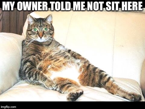 MY OWNER TOLD ME NOT SIT HERE | made w/ Imgflip meme maker