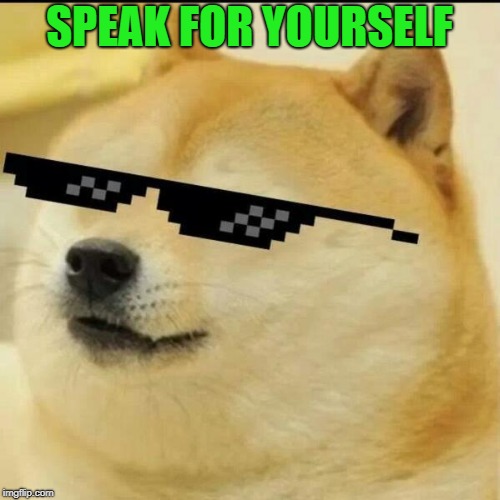 Sunglass Doge | SPEAK FOR YOURSELF | image tagged in sunglass doge | made w/ Imgflip meme maker