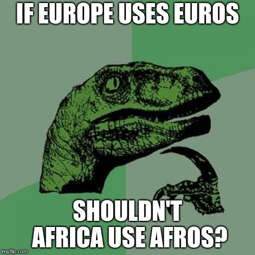 Happy (late) New Year Everybody | IF EUROPE USES EUROS; SHOULDN'T AFRICA USE AFROS? | image tagged in memes,philosoraptor,europe,africa,afro,money | made w/ Imgflip meme maker