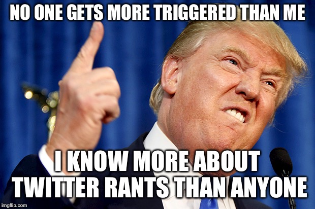Donald Trump | NO ONE GETS MORE TRIGGERED THAN ME I KNOW MORE ABOUT TWITTER RANTS THAN ANYONE | image tagged in donald trump | made w/ Imgflip meme maker