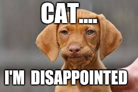 Disappointed Dog | CAT.... I'M  DISAPPOINTED | image tagged in disappointed dog | made w/ Imgflip meme maker