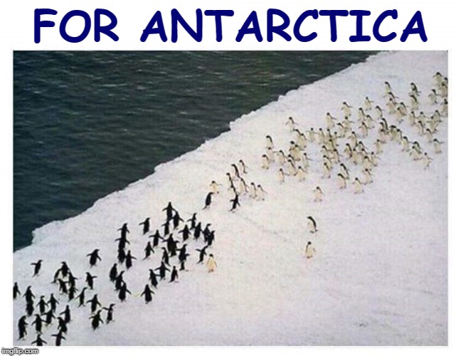 THE BATTLE OF AGES. MAY THE BEST ARMY "PENGUIN" | FOR ANTARCTICA | image tagged in memes,penguins,nature,crazy how nature do that,antarctica,reposts | made w/ Imgflip meme maker