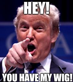 Trump Trademark | HEY! YOU HAVE MY WIG! | image tagged in trump trademark | made w/ Imgflip meme maker