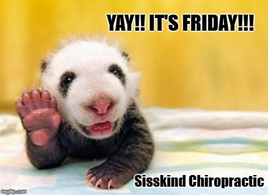 Yay! It's Friday!! | YAY!! IT'S FRIDAY!!! Sisskind Chiropractic | image tagged in yay it's friday | made w/ Imgflip meme maker