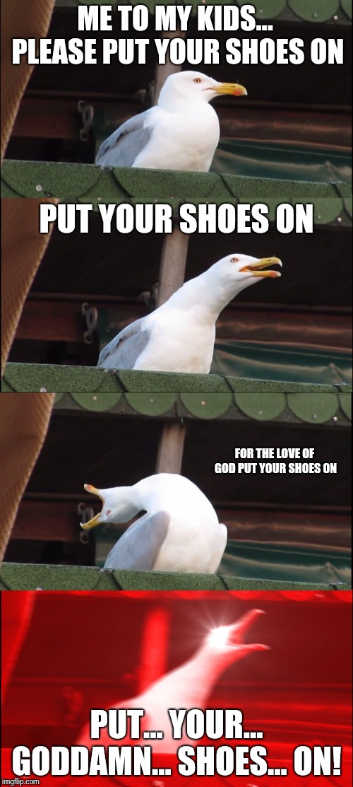 Inhaling Seagull Meme | ME TO MY KIDS... PLEASE PUT YOUR SHOES ON; PUT YOUR SHOES ON; FOR THE LOVE OF GOD PUT YOUR SHOES ON; PUT... YOUR... GODDAMN... SHOES... ON! | image tagged in memes,inhaling seagull | made w/ Imgflip meme maker