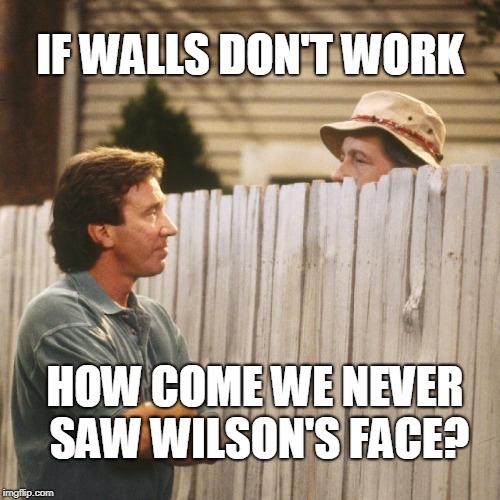 Tim Allen | IF WALLS DON'T WORK; HOW COME WE NEVER SAW WILSON'S FACE? | image tagged in tim allen | made w/ Imgflip meme maker