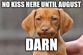 Disappointed Dog | NO KISS HERE UNTIL AUGUST DARN | image tagged in disappointed dog | made w/ Imgflip meme maker