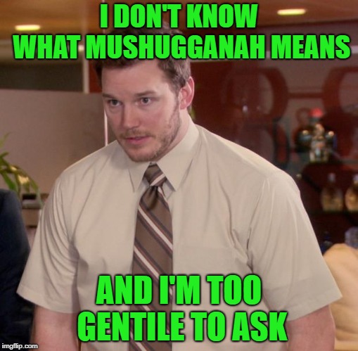 Afraid To Ask Andy Meme | I DON'T KNOW WHAT MUSHUGGANAH MEANS; AND I'M TOO GENTILE TO ASK | image tagged in memes,afraid to ask andy | made w/ Imgflip meme maker