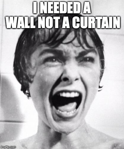 Psycho victim | I NEEDED A WALL NOT A CURTAIN | image tagged in psycho victim | made w/ Imgflip meme maker