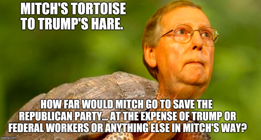 MITCH'S TORTOISE TO TRUMP'S HARE. HOW FAR WOULD MITCH GO TO SAVE THE REPUBLICAN PARTY... AT THE EXPENSE OF TRUMP OR FEDERAL WORKERS OR ANYTHING ELSE IN MITCH'S WAY? | image tagged in mitch the tortoise | made w/ Imgflip meme maker