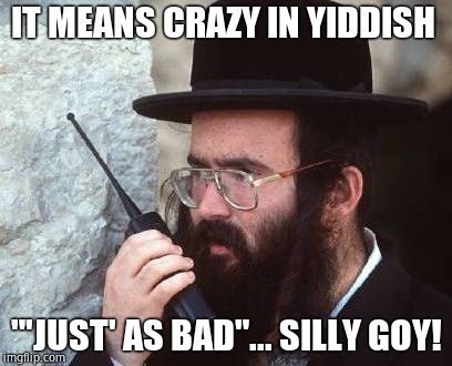 jew | IT MEANS CRAZY IN YIDDISH "'JUST' AS BAD"... SILLY GOY! | image tagged in jew | made w/ Imgflip meme maker