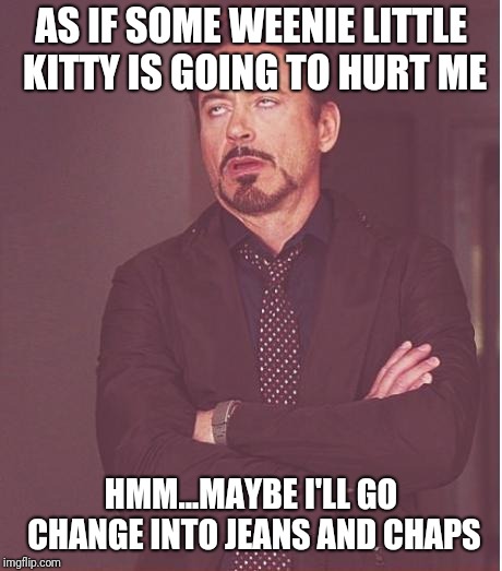 Face You Make Robert Downey Jr Meme | AS IF SOME WEENIE LITTLE KITTY IS GOING TO HURT ME HMM...MAYBE I'LL GO CHANGE INTO JEANS AND CHAPS | image tagged in memes,face you make robert downey jr | made w/ Imgflip meme maker