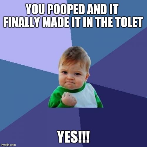 Success Kid Meme | YOU POOPED AND IT FINALLY MADE IT IN THE TOLET; YES!!! | image tagged in memes,success kid | made w/ Imgflip meme maker