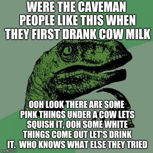 Philosoraptor Meme | WERE THE CAVEMAN PEOPLE LIKE THIS WHEN THEY FIRST DRANK COW MILK; OOH LOOK THERE ARE SOME PINK THINGS UNDER A COW LETS SQUISH IT, OOH SOME WHITE THINGS COME OUT LET'S DRINK IT. 
WHO KNOWS WHAT ELSE THEY TRIED | image tagged in memes,philosoraptor | made w/ Imgflip meme maker