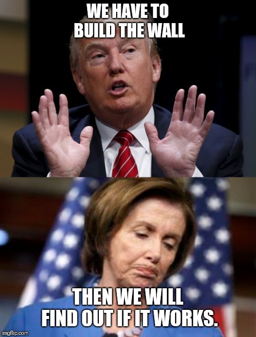 Oh yeah! | WE HAVE TO BUILD THE WALL; THEN WE WILL FIND OUT IF IT WORKS. | image tagged in trump wall,nancy pelosi,build a wall | made w/ Imgflip meme maker