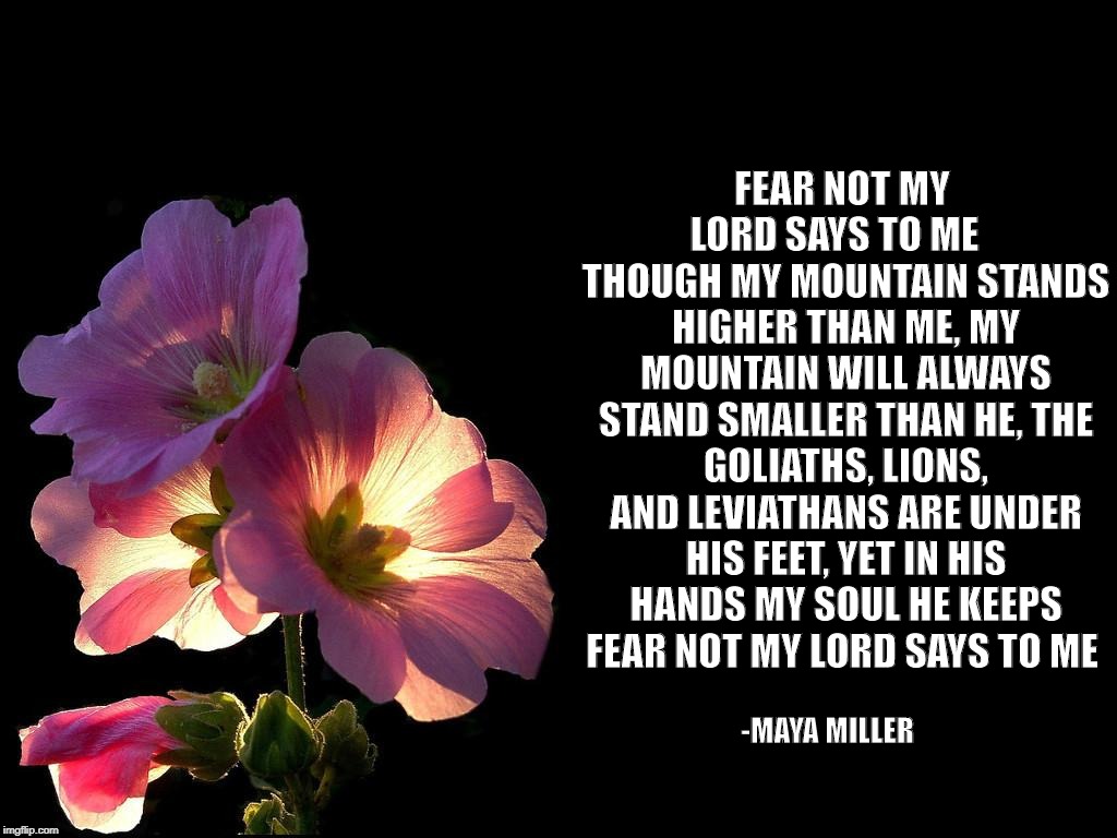 Pink Flowers black background | FEAR NOT MY LORD SAYS TO ME


 THOUGH MY MOUNTAIN STANDS HIGHER THAN ME, MY MOUNTAIN WILL ALWAYS STAND SMALLER THAN HE,
THE GOLIATHS, LIONS, AND LEVIATHANS ARE UNDER HIS FEET, YET IN HIS HANDS MY SOUL HE KEEPS 
FEAR NOT MY LORD SAYS TO ME; -MAYA MILLER | image tagged in pink flowers black background | made w/ Imgflip meme maker