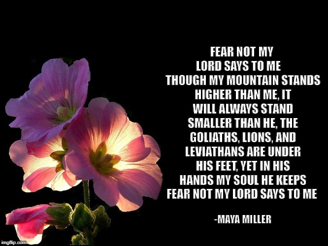 Pink Flowers black background | FEAR NOT MY LORD SAYS TO ME
    THOUGH MY MOUNTAIN STANDS HIGHER THAN ME, IT WILL ALWAYS
STAND SMALLER THAN HE,
THE GOLIATHS, LIONS, AND LEVIATHANS ARE UNDER HIS FEET, YET IN HIS HANDS MY SOUL HE KEEPS 
FEAR NOT MY LORD SAYS TO ME; -MAYA MILLER | image tagged in pink flowers black background | made w/ Imgflip meme maker