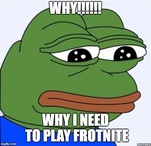 sad frog | WHY!!!!!! WHY I NEED TO PLAY FROTNITE | image tagged in sad frog | made w/ Imgflip meme maker