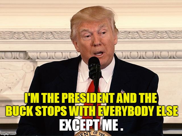 Harry Truman said it better. | I'M THE PRESIDENT AND THE BUCK STOPS WITH EVERYBODY ELSE; EXCEPT ME . | image tagged in trump,president,buck stops,alibi,excuse,whine | made w/ Imgflip meme maker